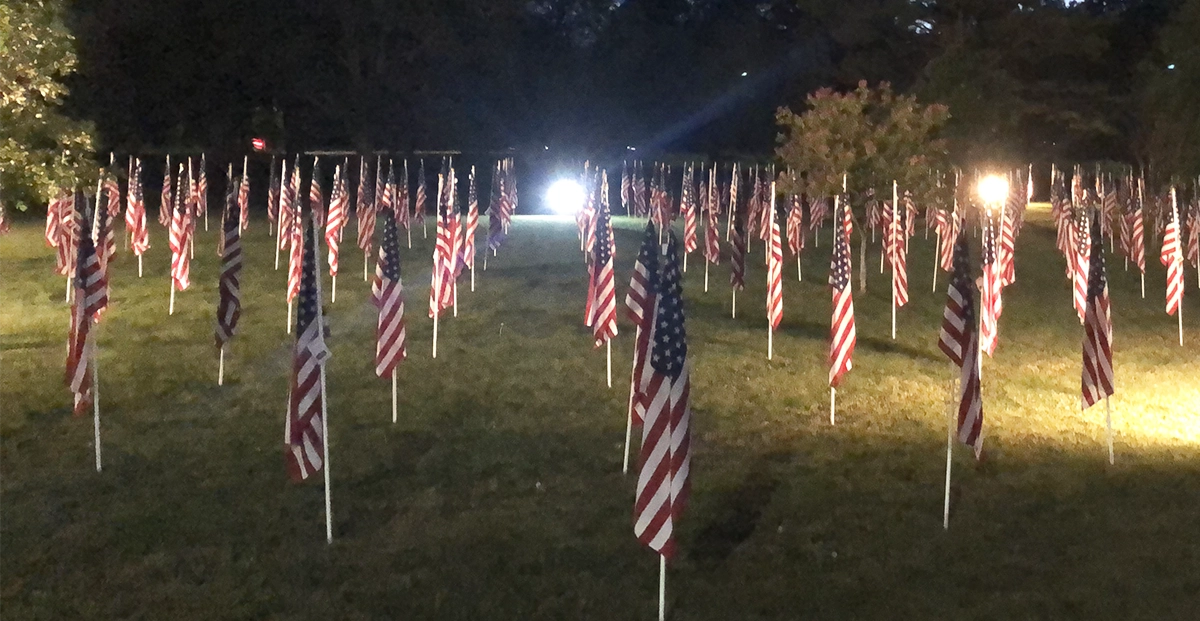 American flags in a field